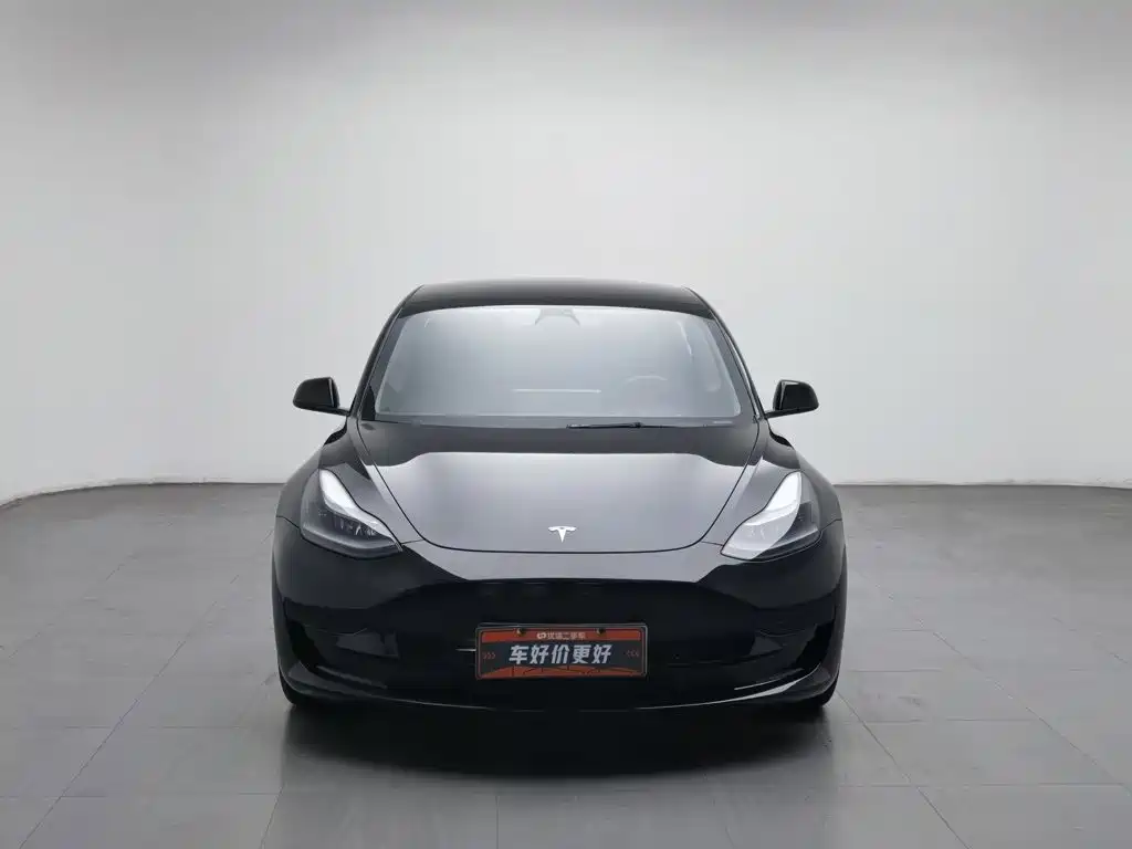 Tesla Model 3 — миниатюра 3