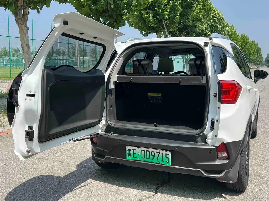 BYD Yuan Pro Pro 2021 401KM Luxury