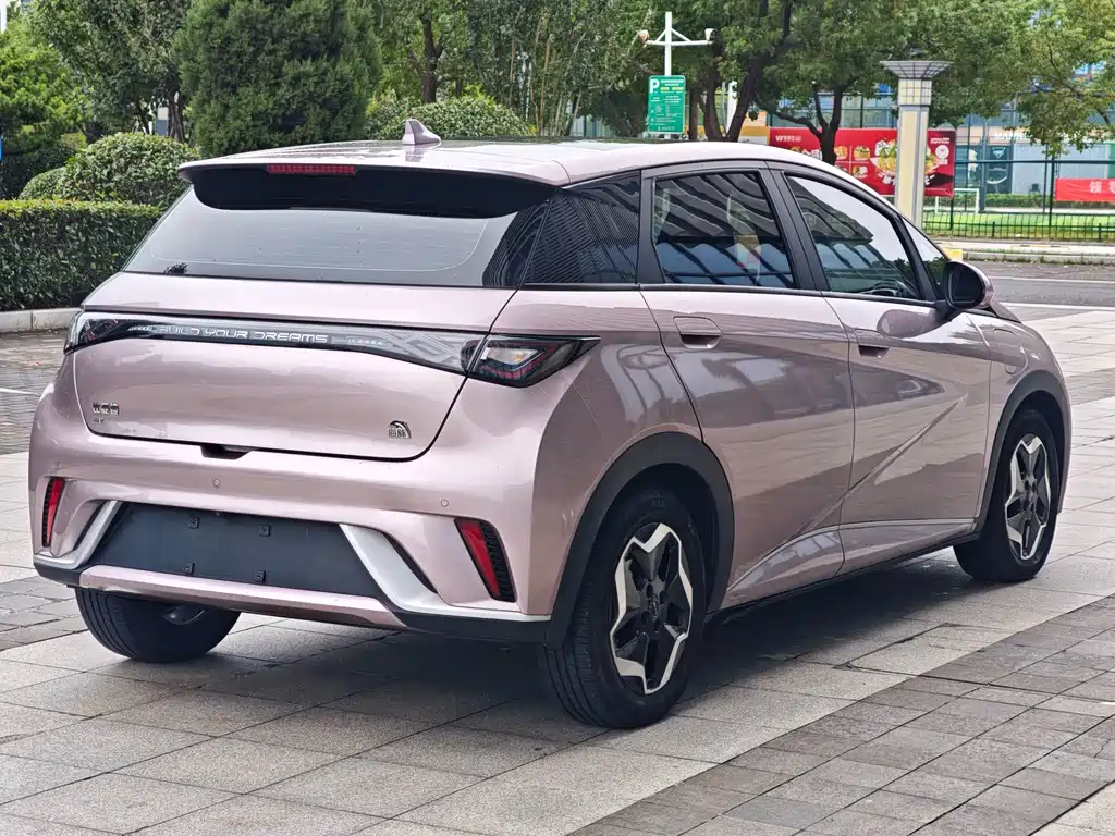BYD Dolphin — миниатюра 10
