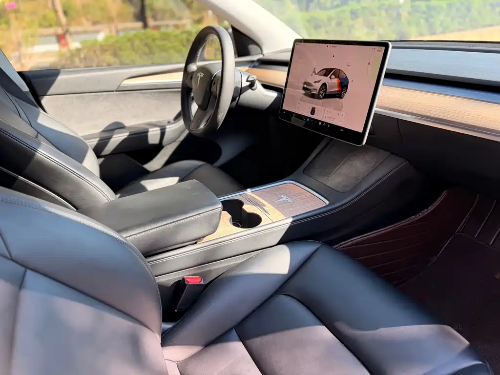 Tesla Model Y — миниатюра 10