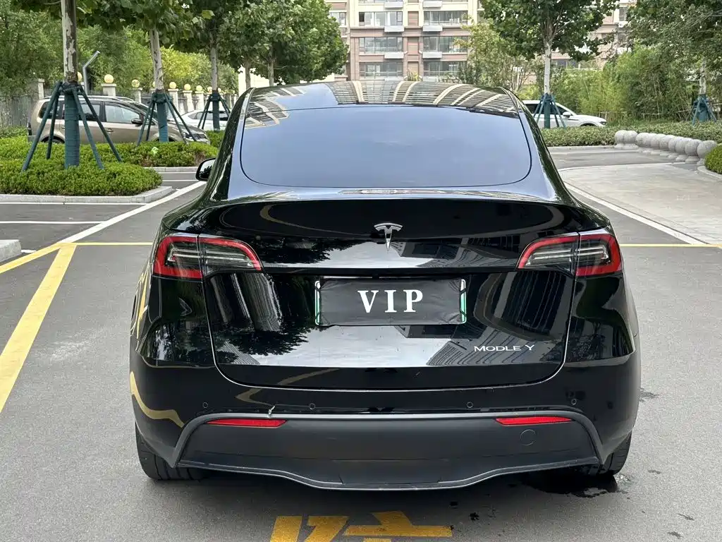Tesla Model Y — миниатюра 5