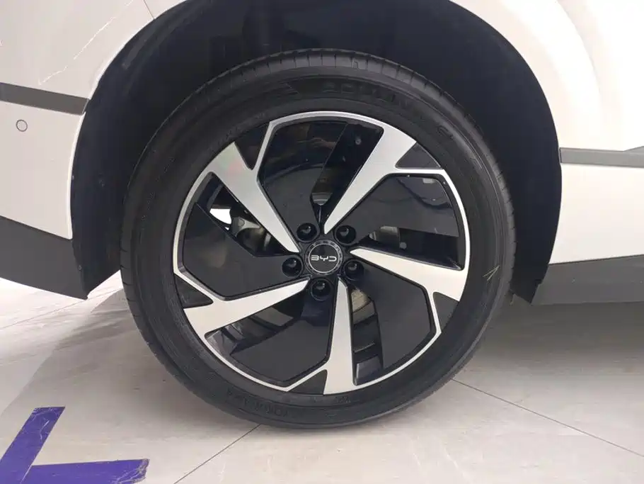 BYD Sealion 06 — миниатюра 6