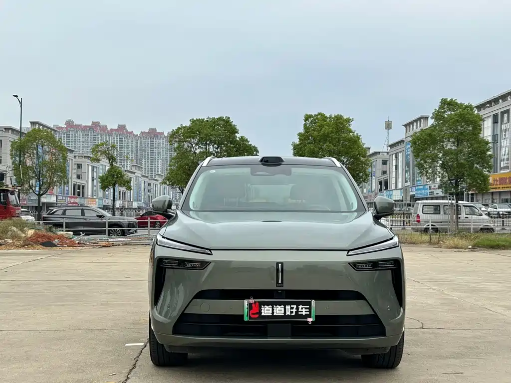 WEI PAI WEI BRAND BLUE MOUNTAIN