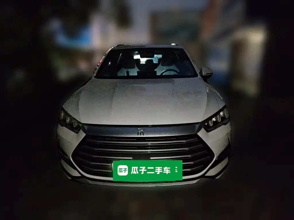 BYD Pro New Energy — миниатюра 2