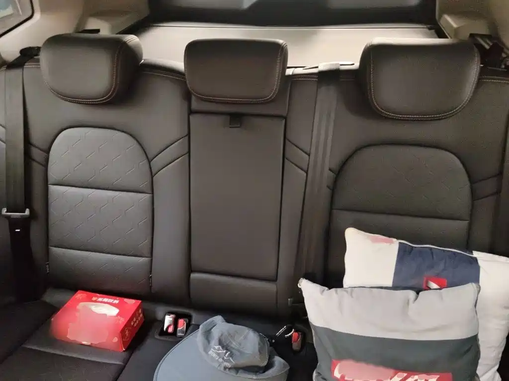 Haval 长城大狗 — миниатюра 15