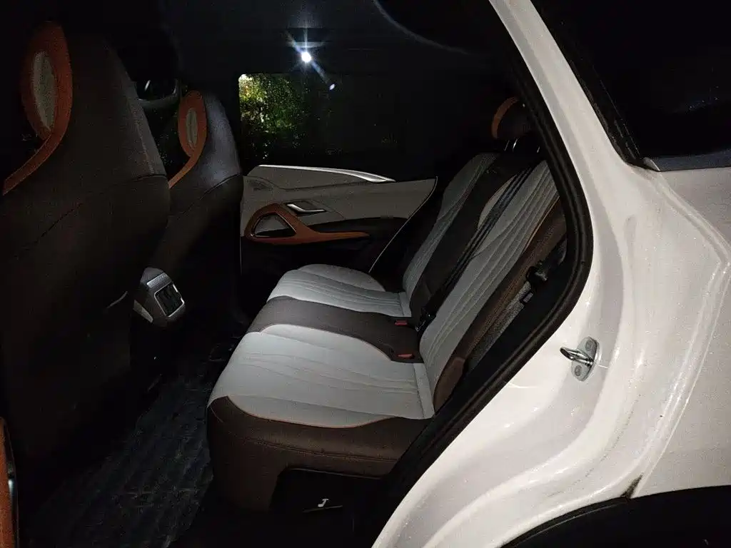 BYD Pro New Energy — миниатюра 13