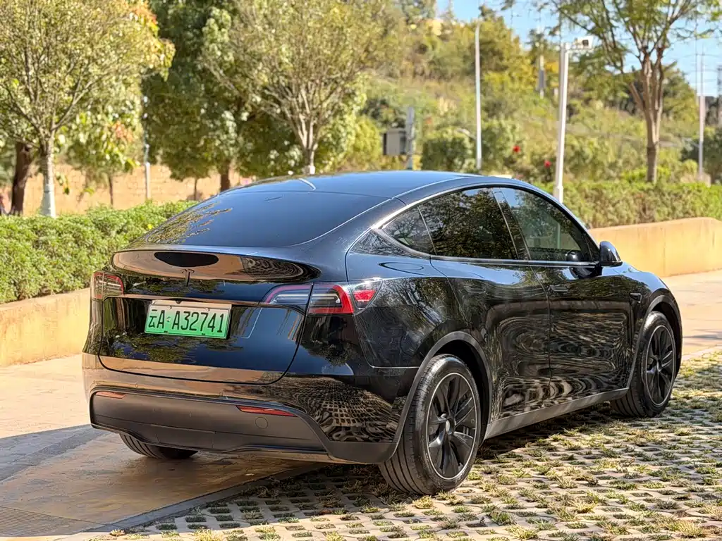Tesla Model Y — миниатюра 8