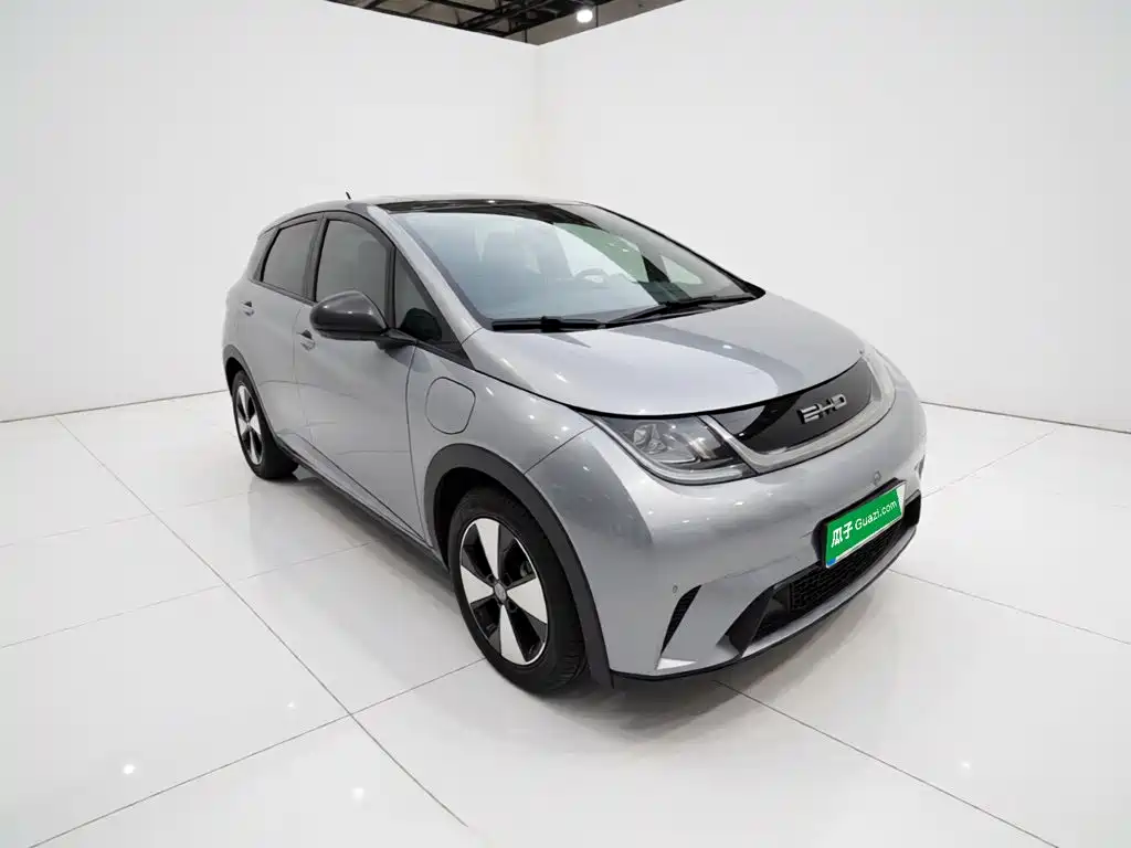 BYD Dolphin — миниатюра 24