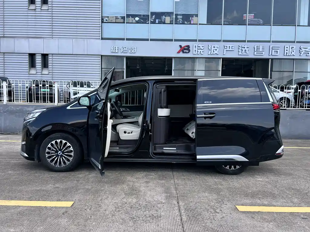 Denza Denza D9 — миниатюра 25