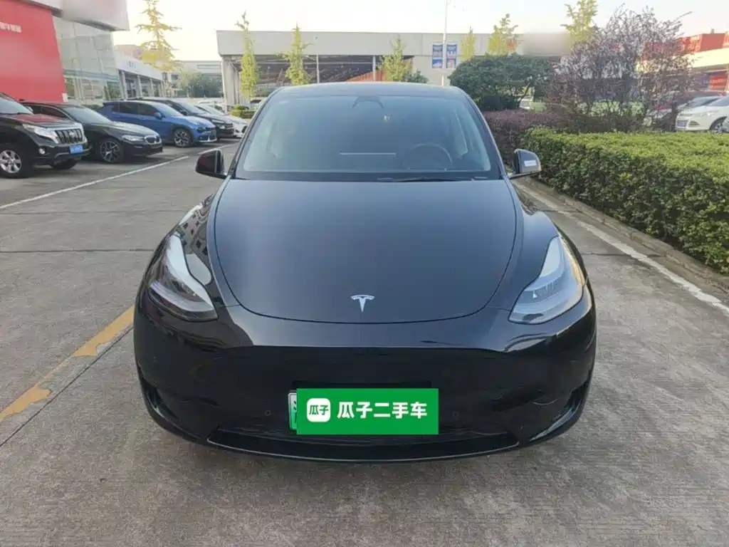 Tesla Model Y — миниатюра 3
