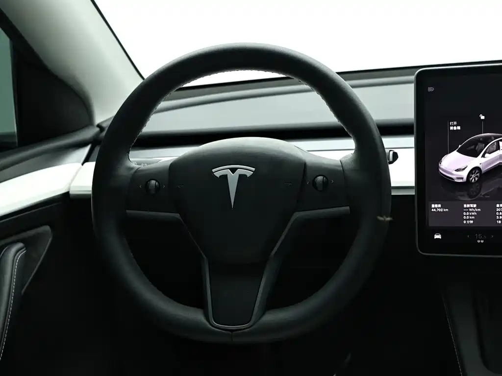 Tesla Model Y — миниатюра 16