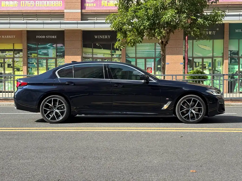BMW 5 SERIES