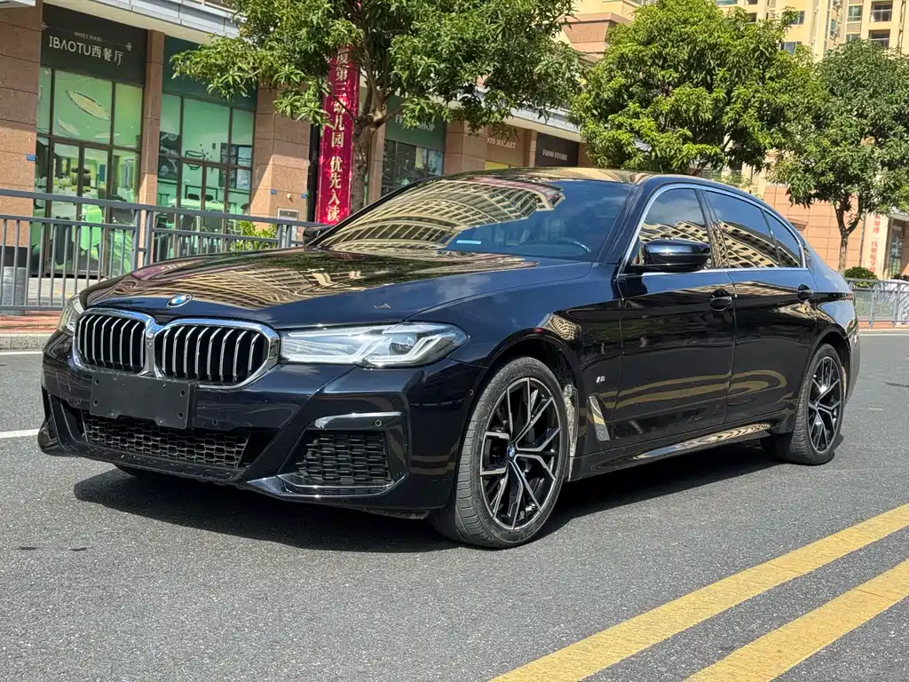 BMW 5 SERIES