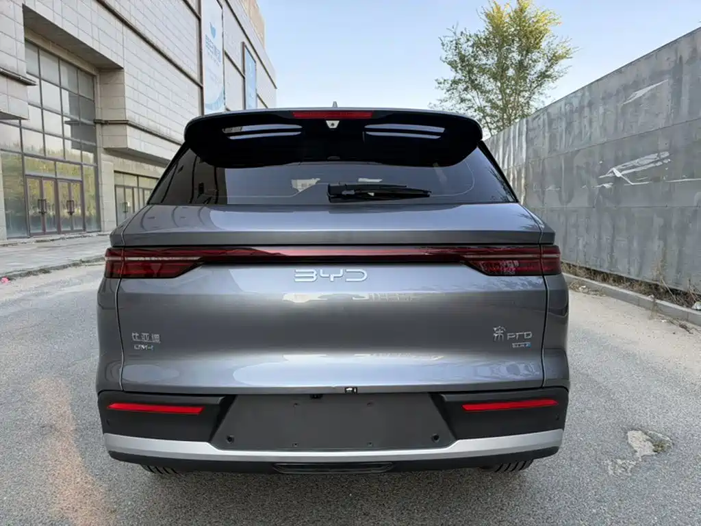 BYD Pro New Energy — миниатюра 24