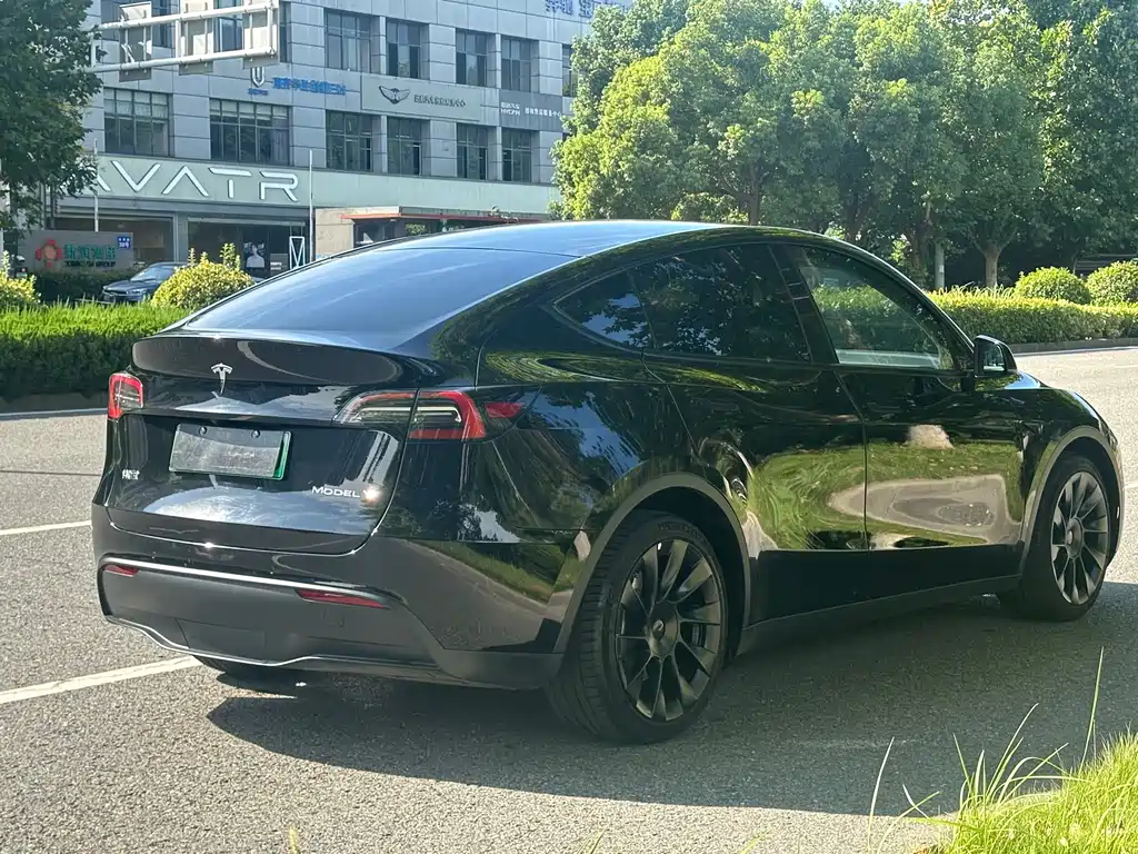 Tesla Model Y — миниатюра 5