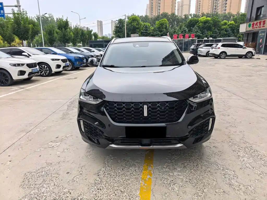 Wey Wey VV6 — миниатюра 2