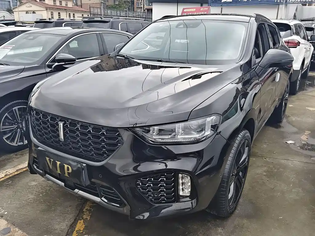 Wey Wey VV5 2018