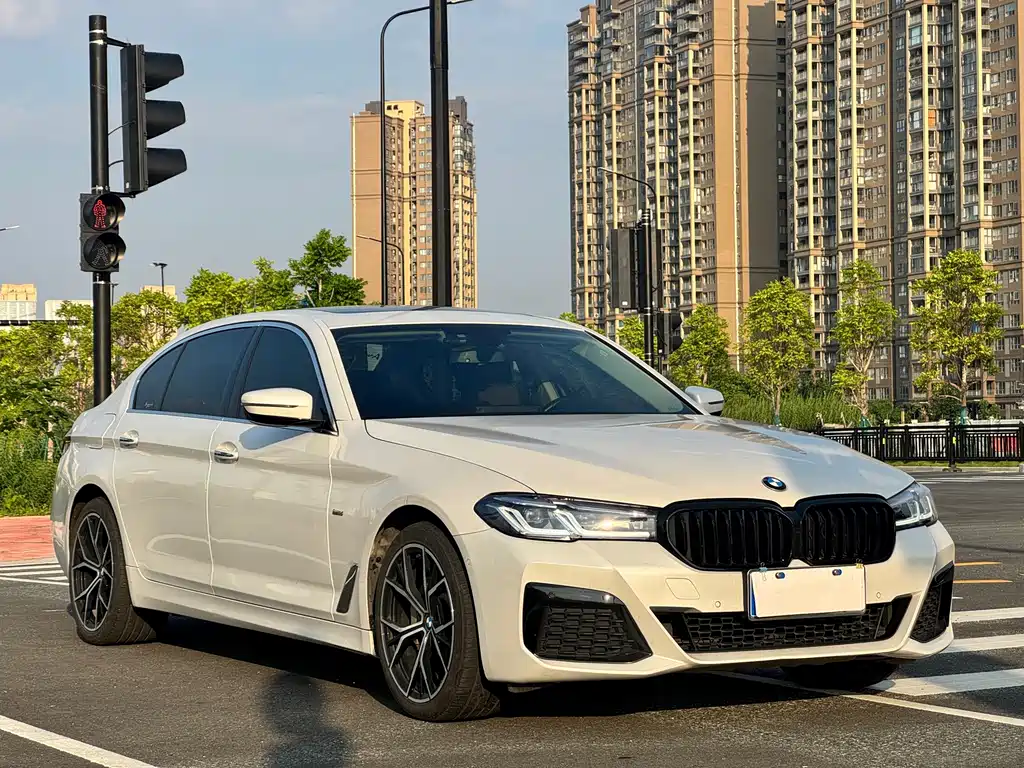 BMW 5 Series 5 2018 530Li Lead Luxury