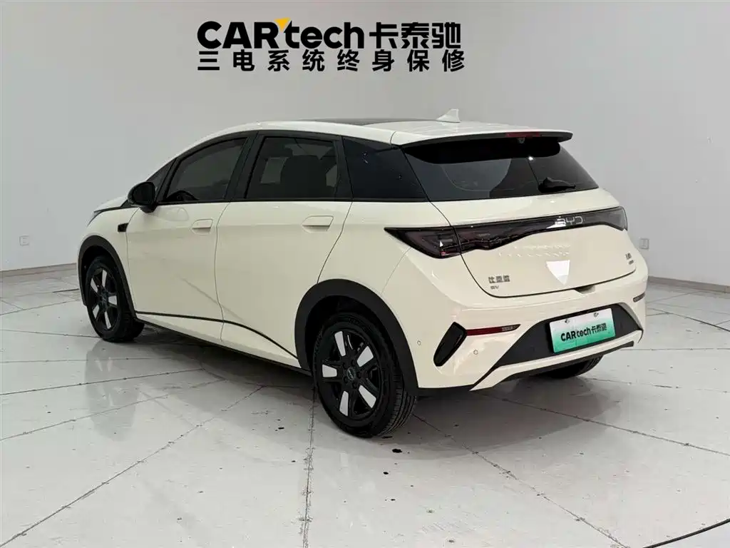 BYD Dolphin 2025 Smart Drive 410km Fashion