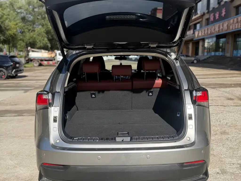 Lexus NX — миниатюра 14