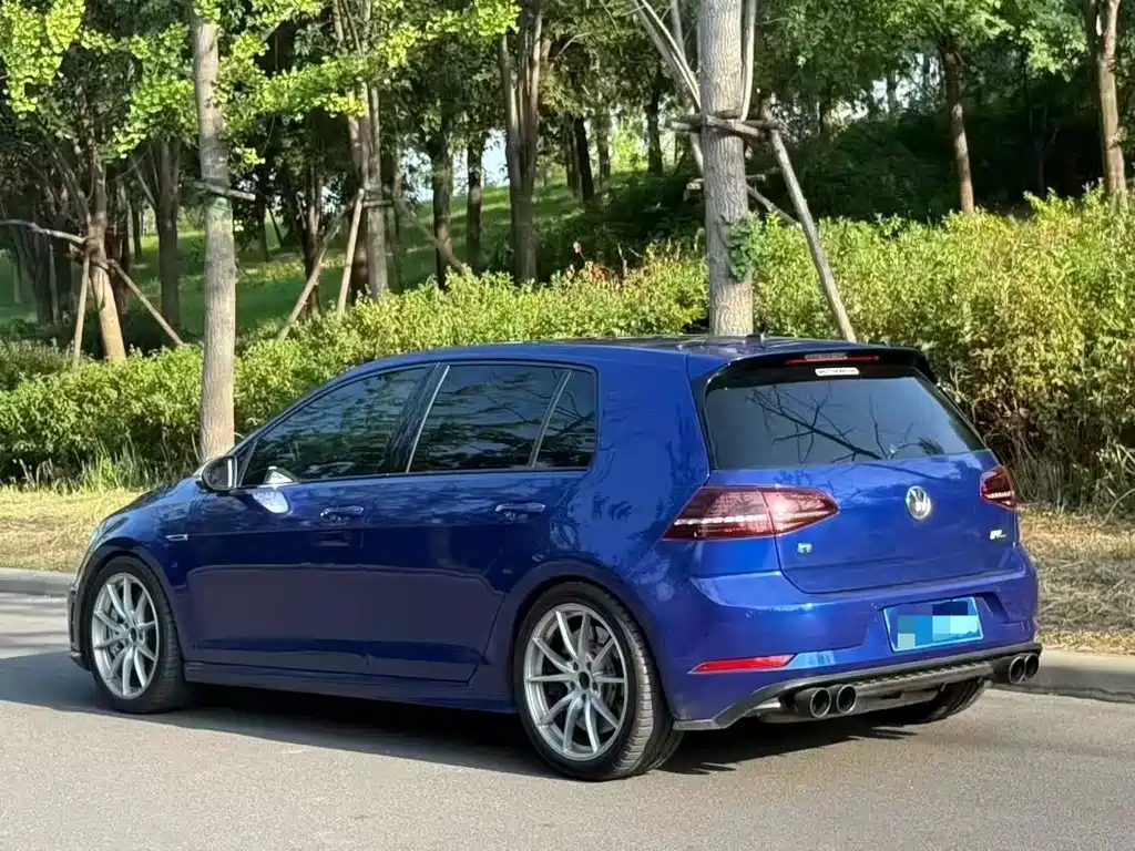 Volkswagen Golf (Import) — миниатюра 9