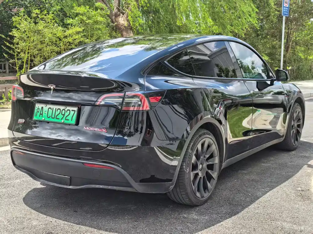 Tesla Model Y — миниатюра 8