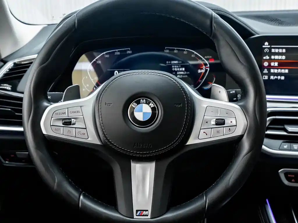BMW X5 — миниатюра 16