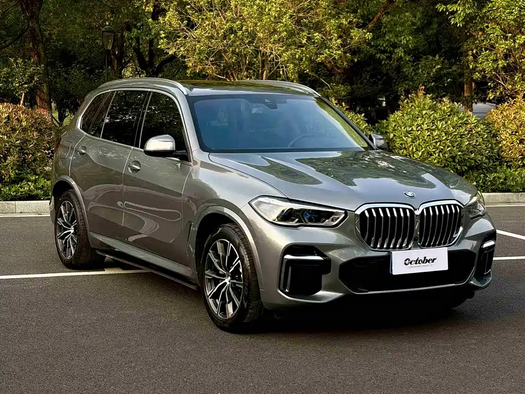 BMW X5 2022 xDrive 30Li Premium M Sport