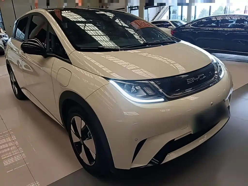 BYD Dolphin — миниатюра 4