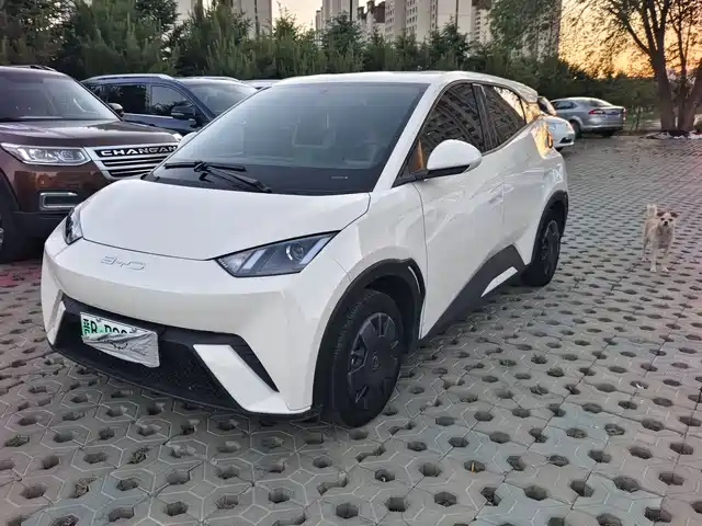 2023 BYD Seagull