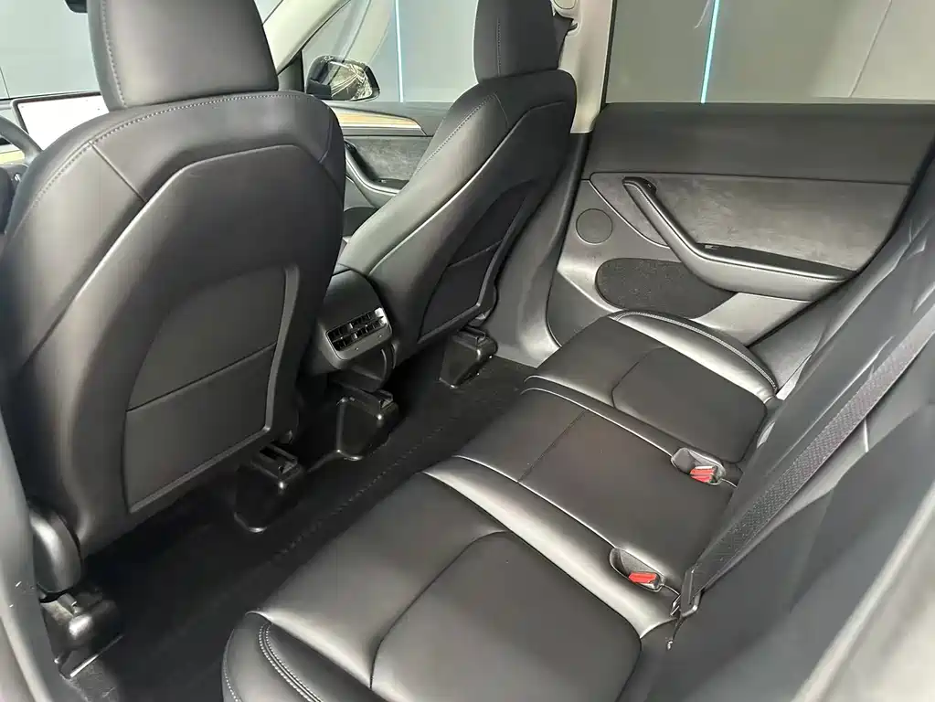 Tesla Model Y — миниатюра 10