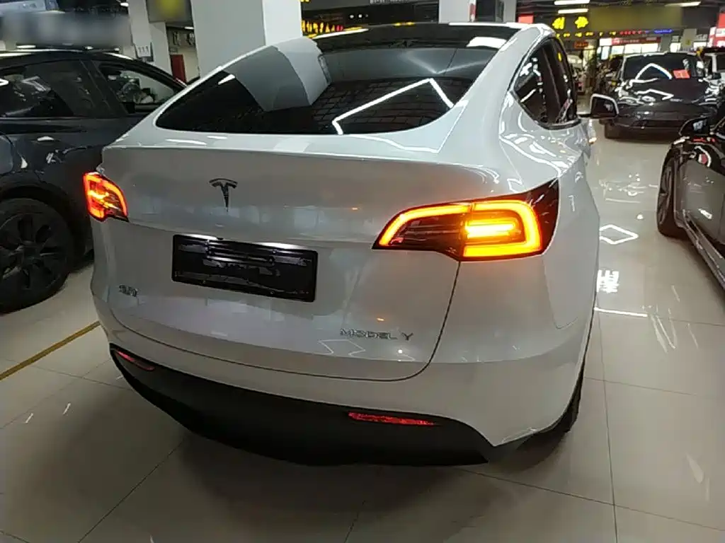 Tesla Model Y — миниатюра 6