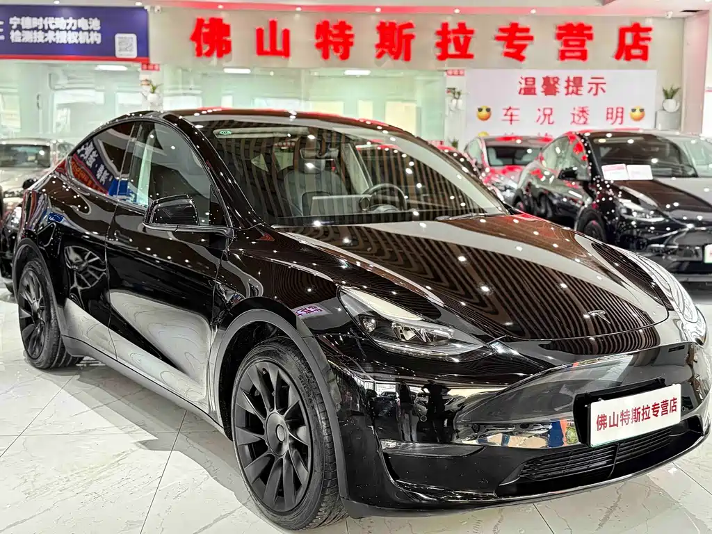 Tesla Model Y — миниатюра 2