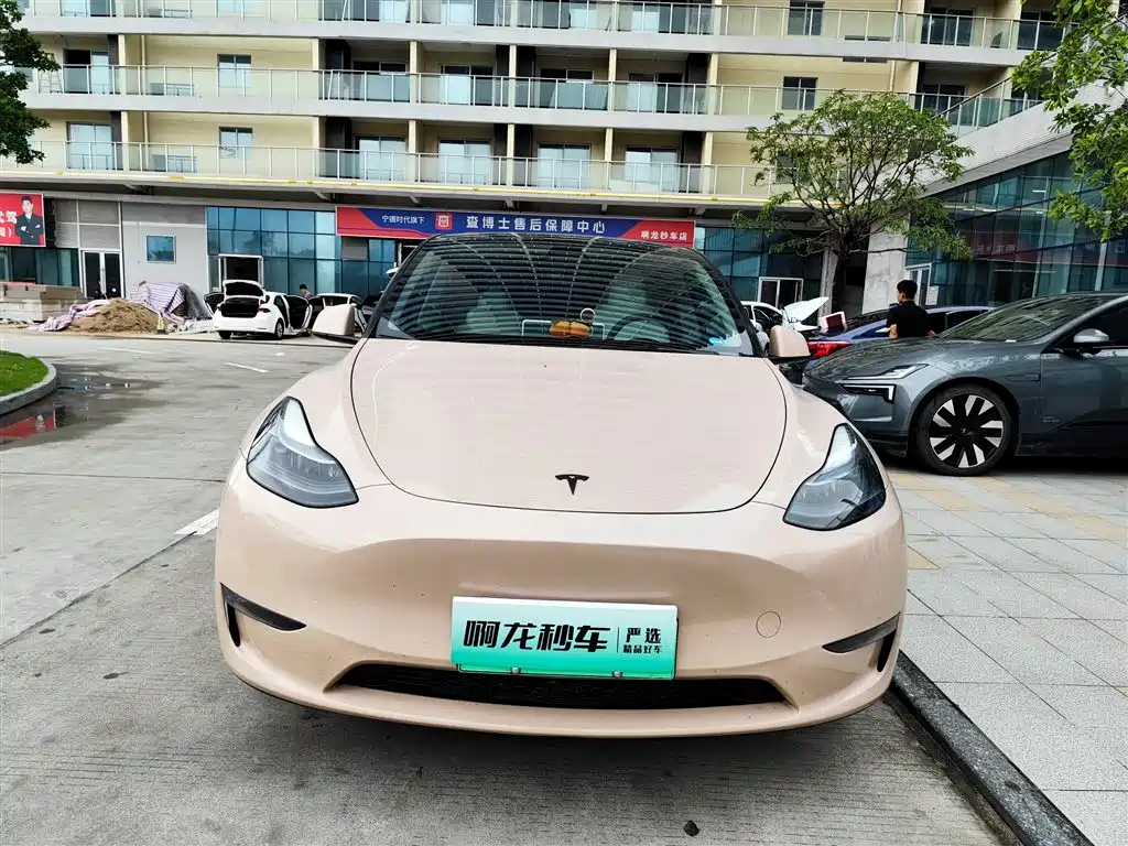 Tesla Model Y — миниатюра 2