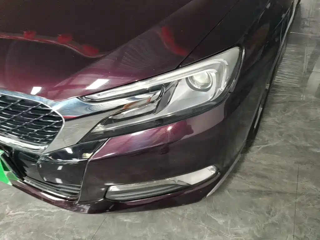 DS DS 5LS — миниатюра 24