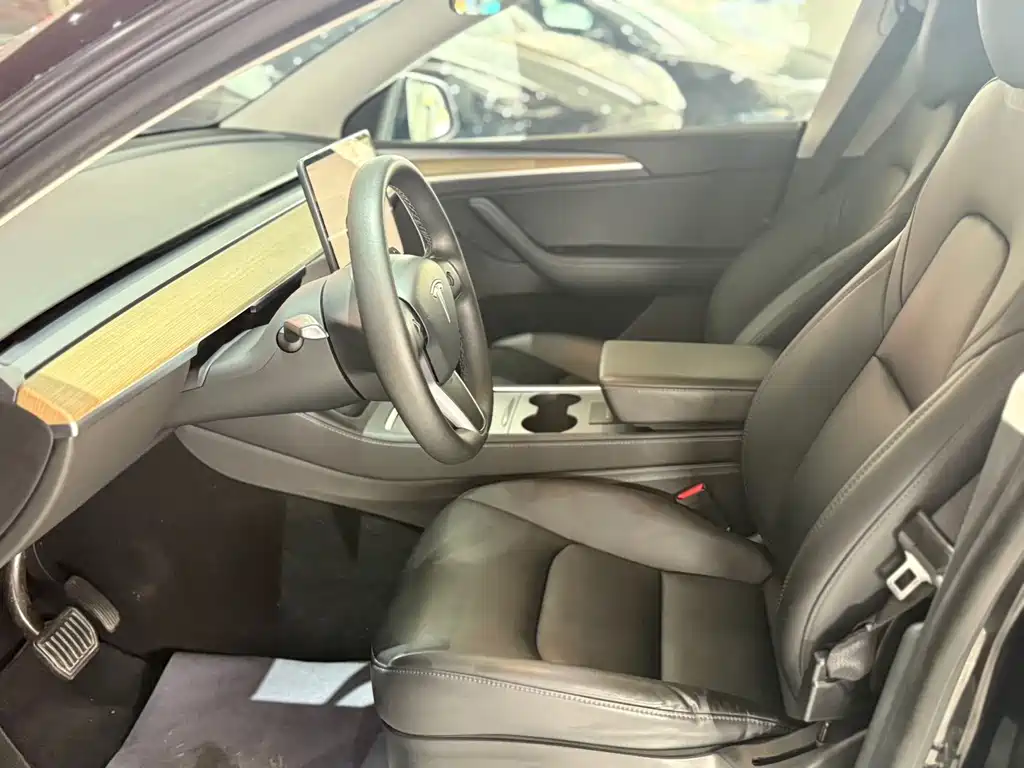 Tesla Model Y — миниатюра 7