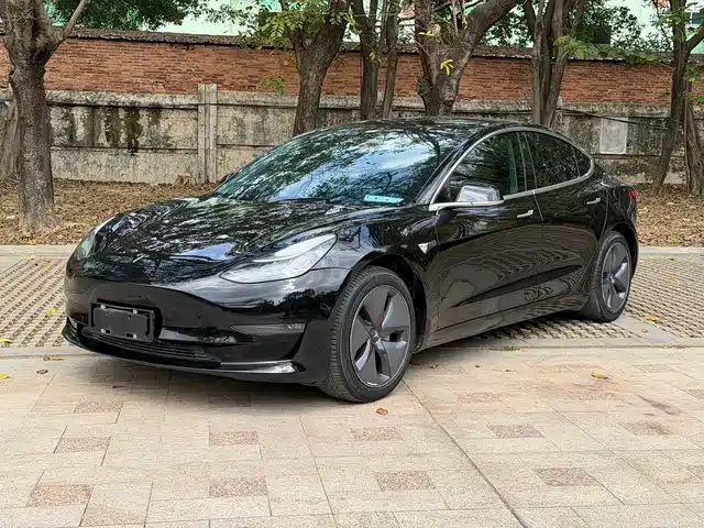 TESLA MODEL 3 2019
