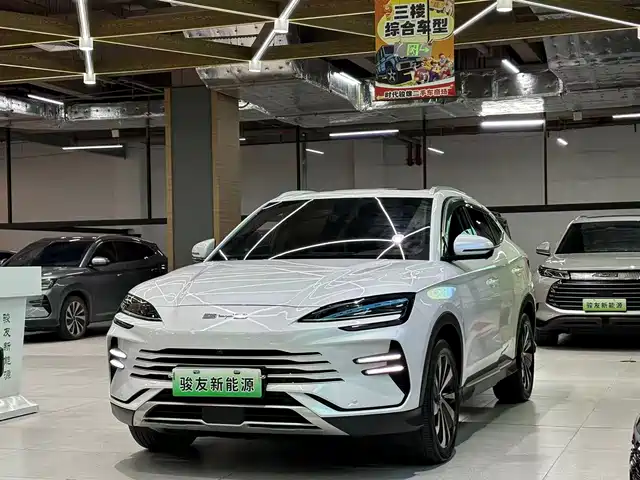BYD SONGJIANG NEW ENERGY 2024
