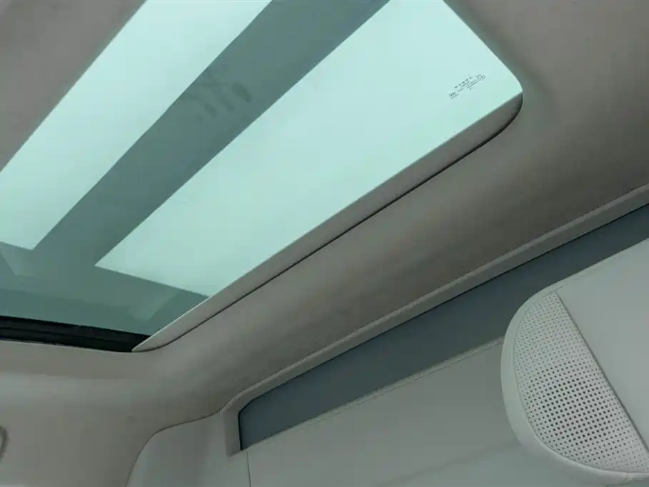 ZEEKR EXTREME KRYPTON 009