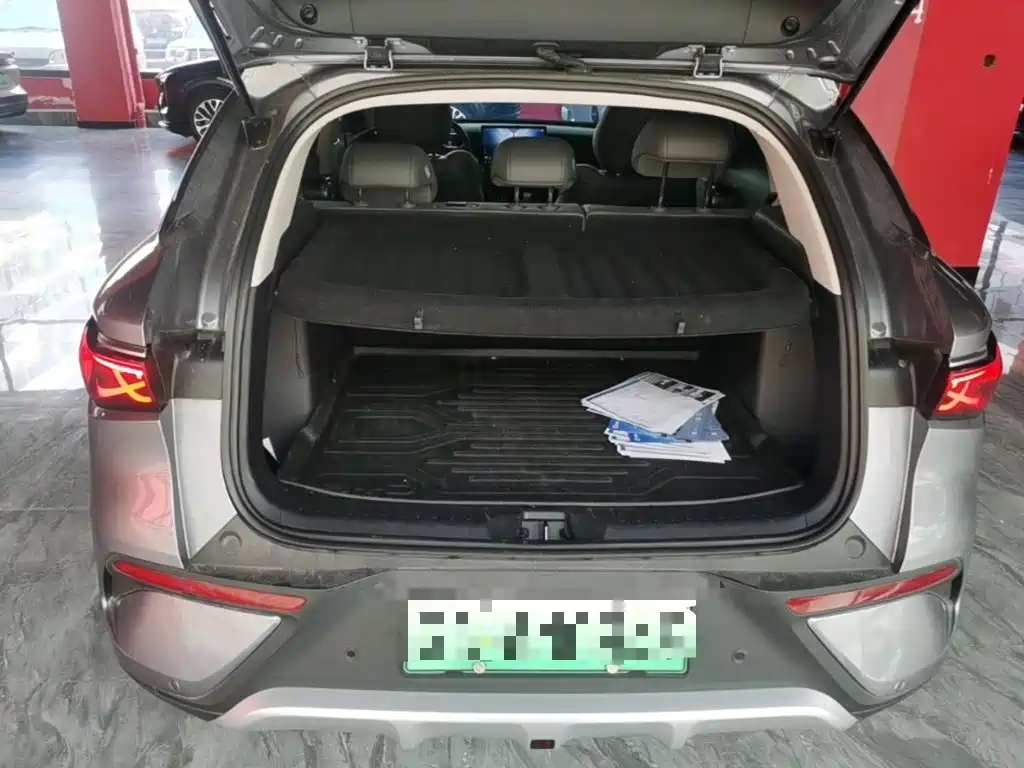 BYD Yuan Plus — миниатюра 19