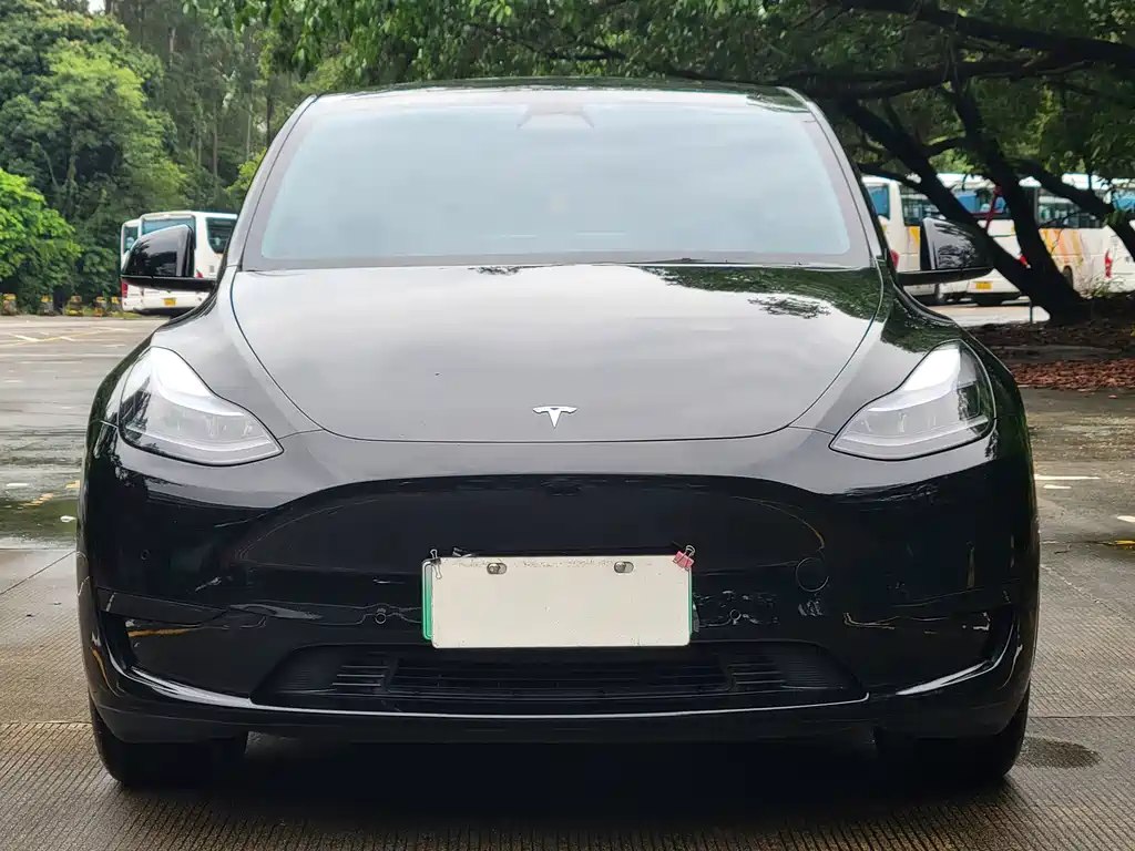 Tesla Model Y — миниатюра 2
