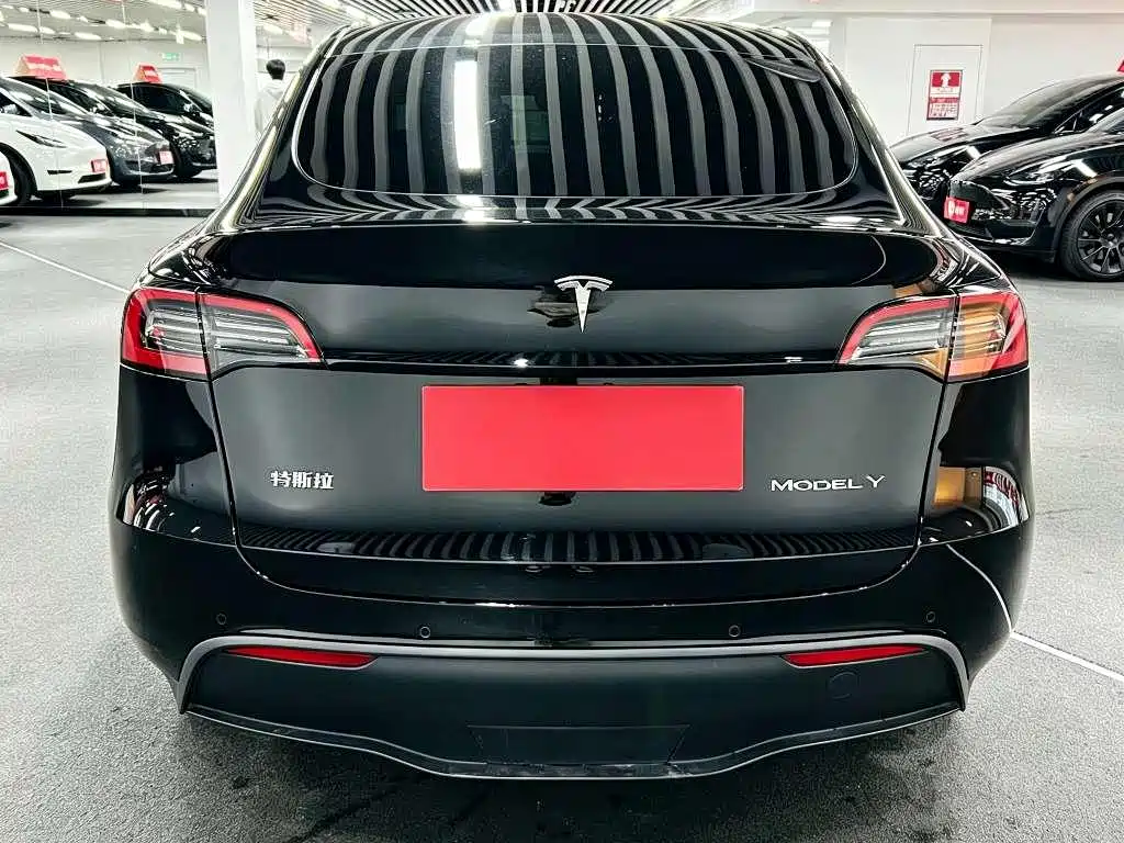 Tesla Model Y — миниатюра 8
