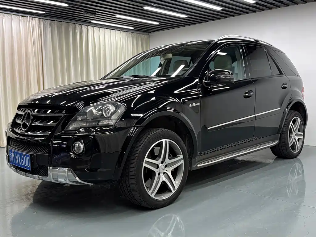 Mercedes-Benz M-Class AMG 2010