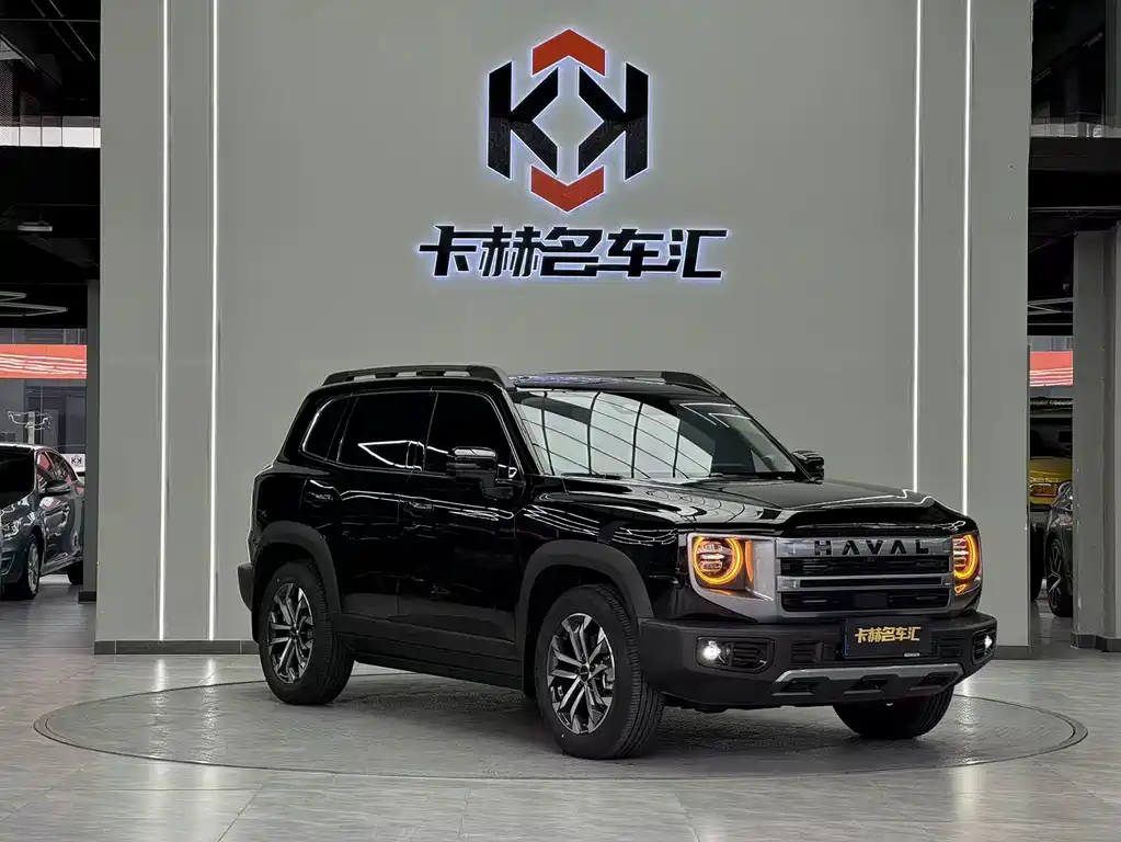HAVAL BIG DOG