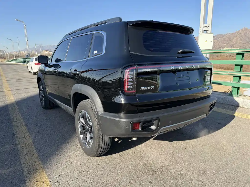 HAVAL BIG DOG