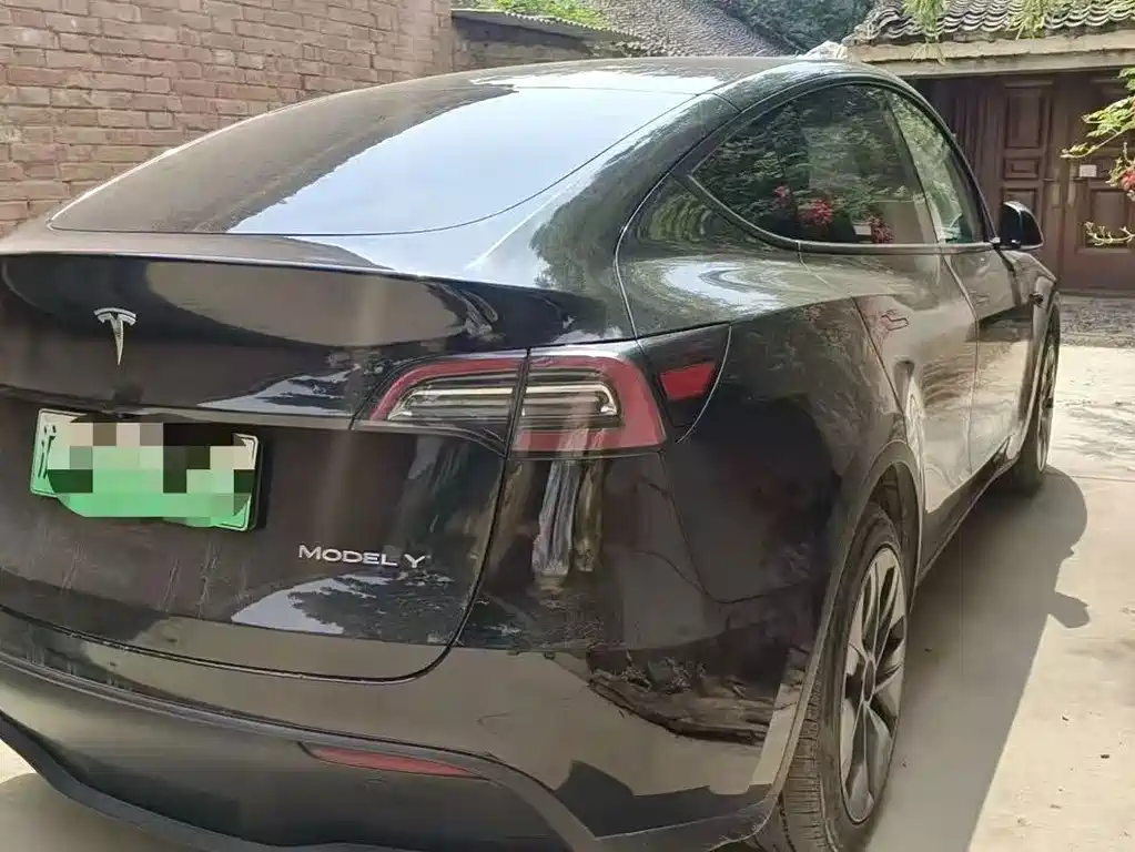Tesla Model Y — миниатюра 6