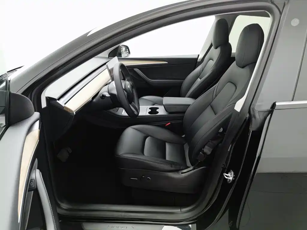 Tesla Model Y — миниатюра 10