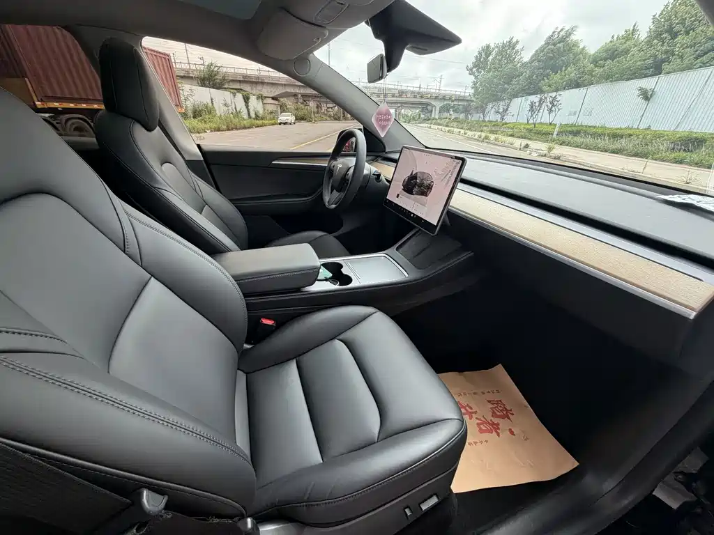 Tesla Model Y — миниатюра 4