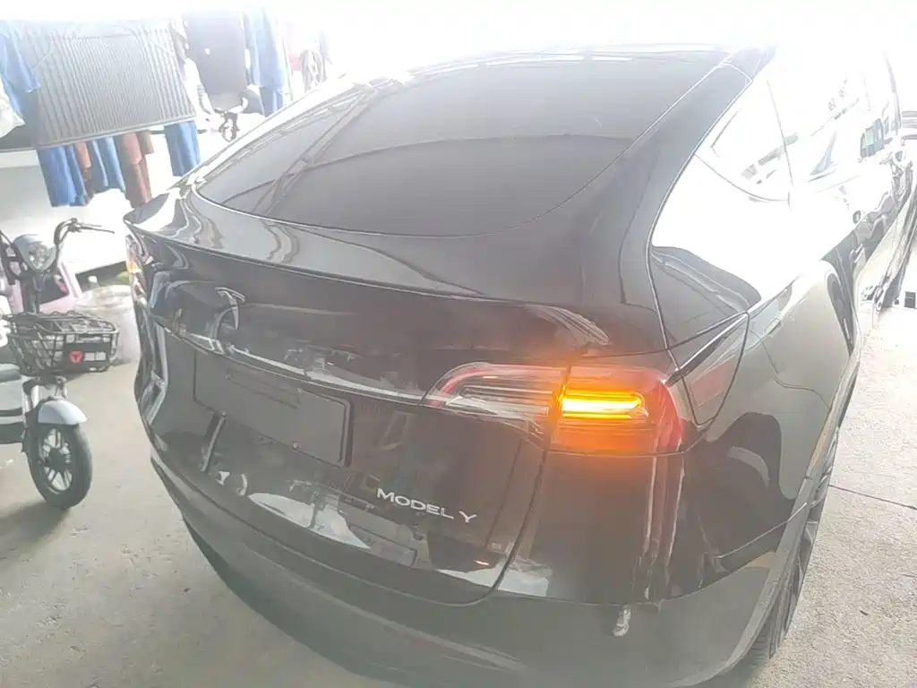 Tesla Model Y — миниатюра 6