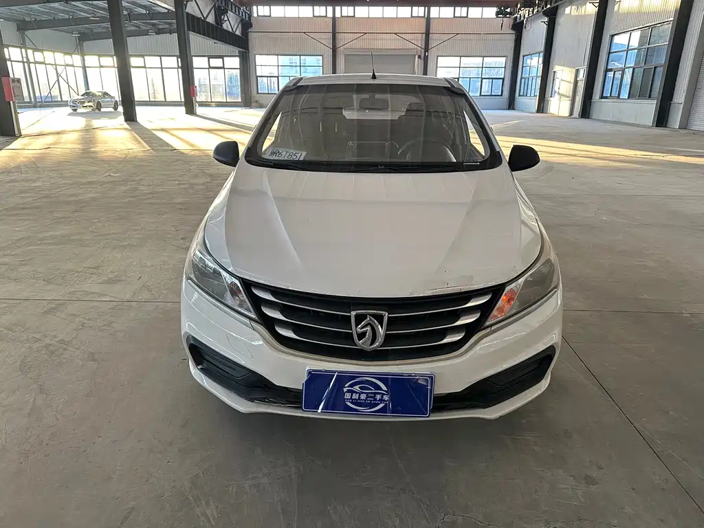 BAOJUN 310